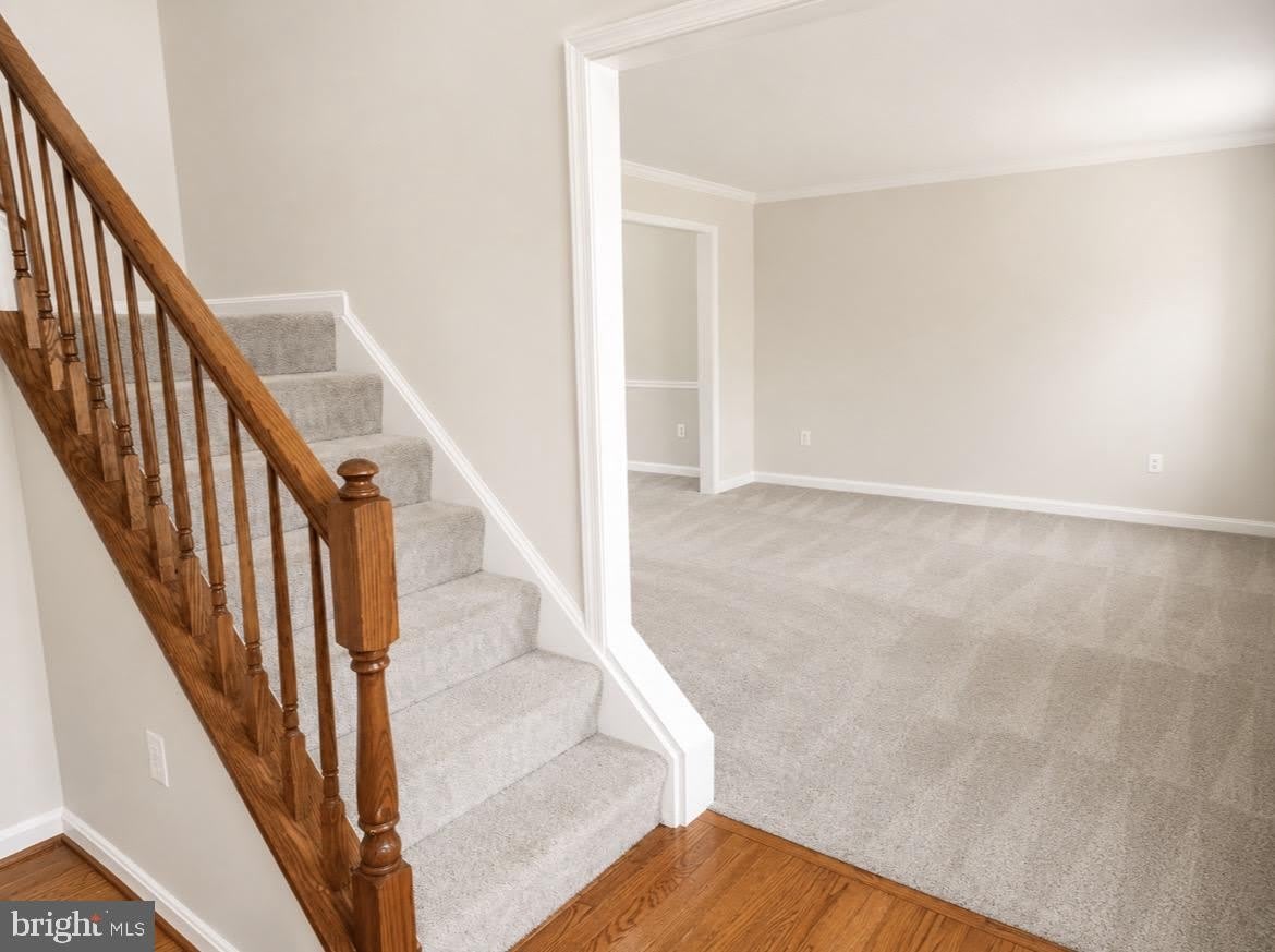 29 Palace Lane – photo 3