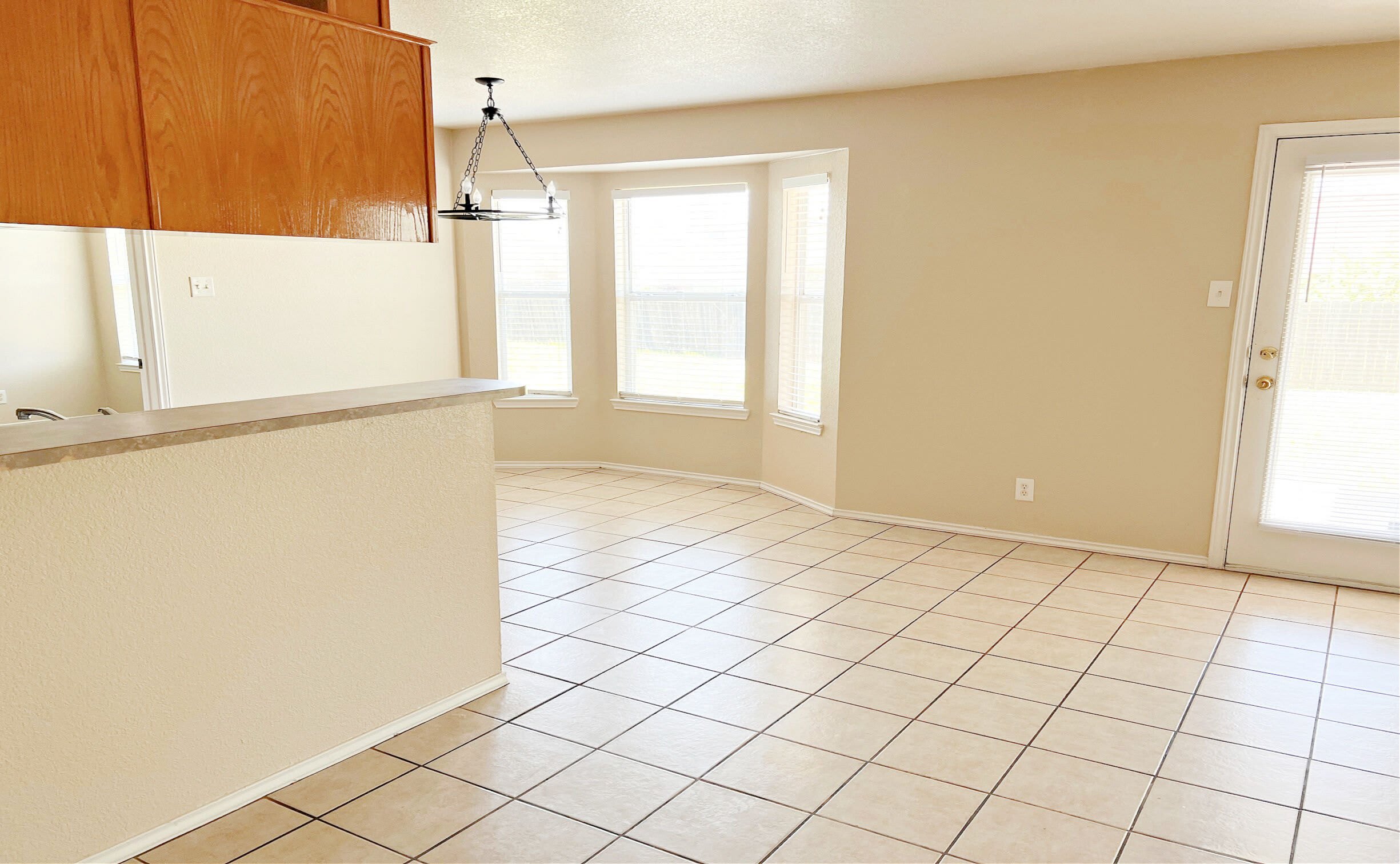 4203 Lonesome Dove Drive – photo 4