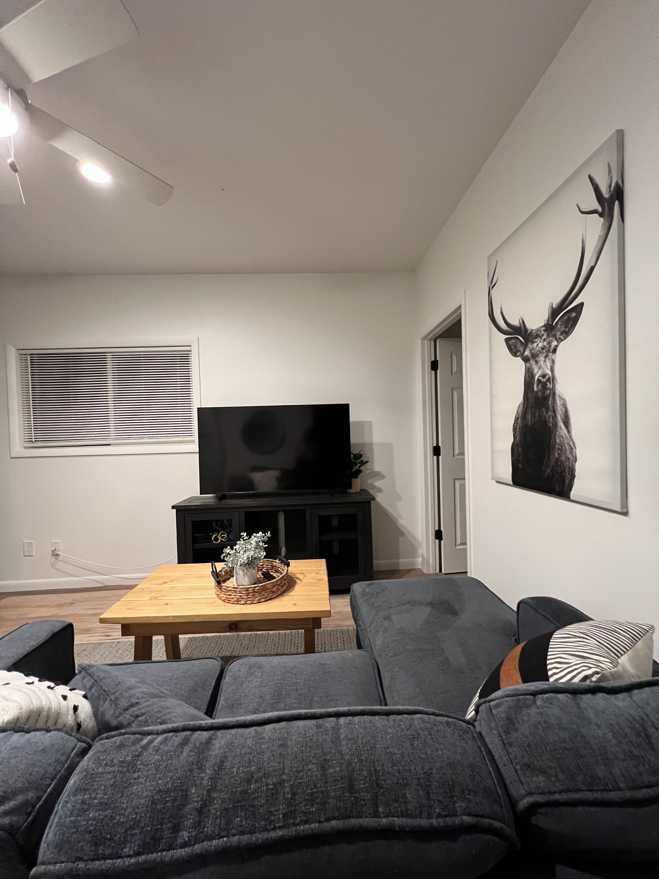 151 Northside Dr – photo 2