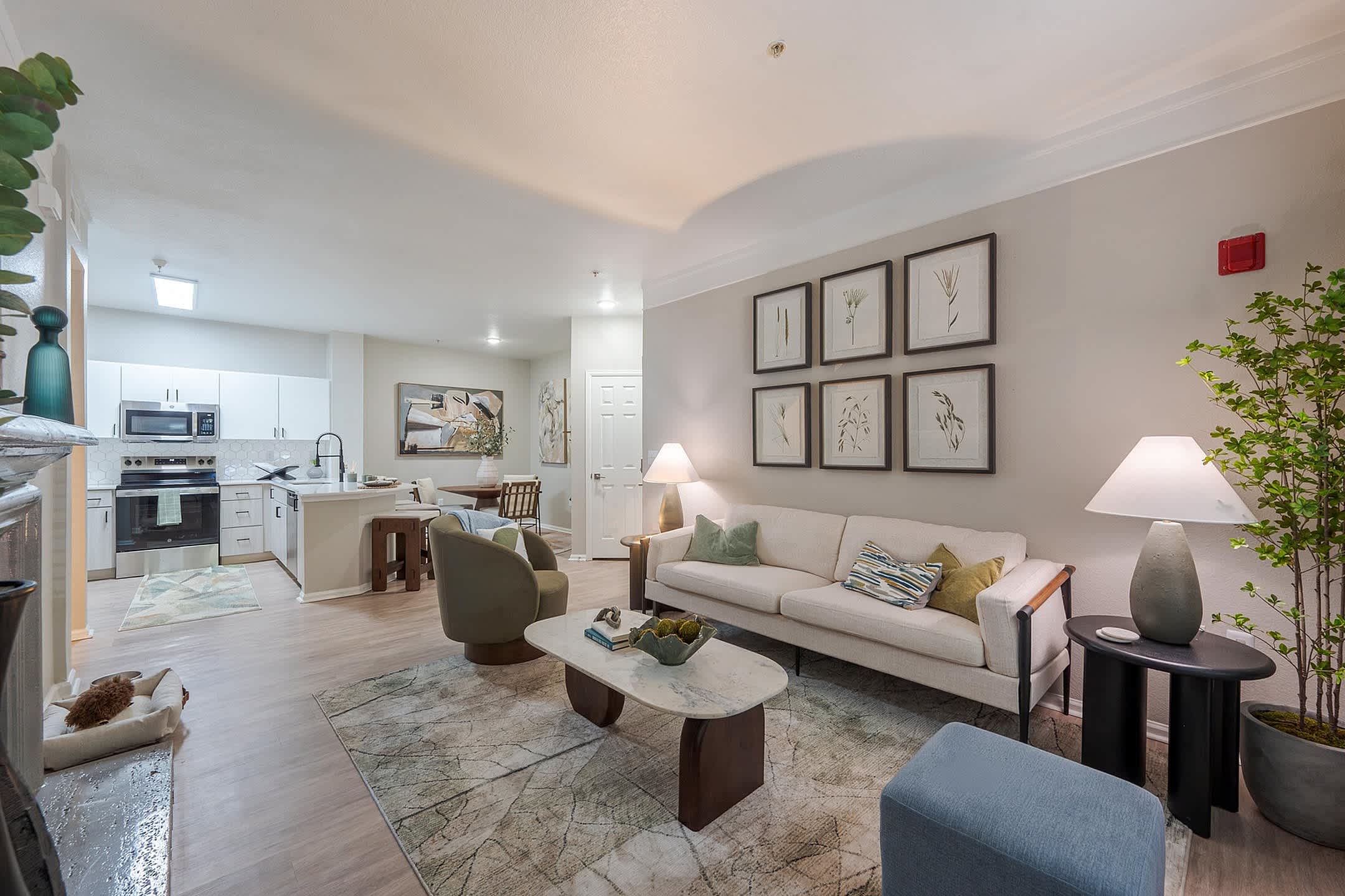 Bristol Village Apartments – photo 4