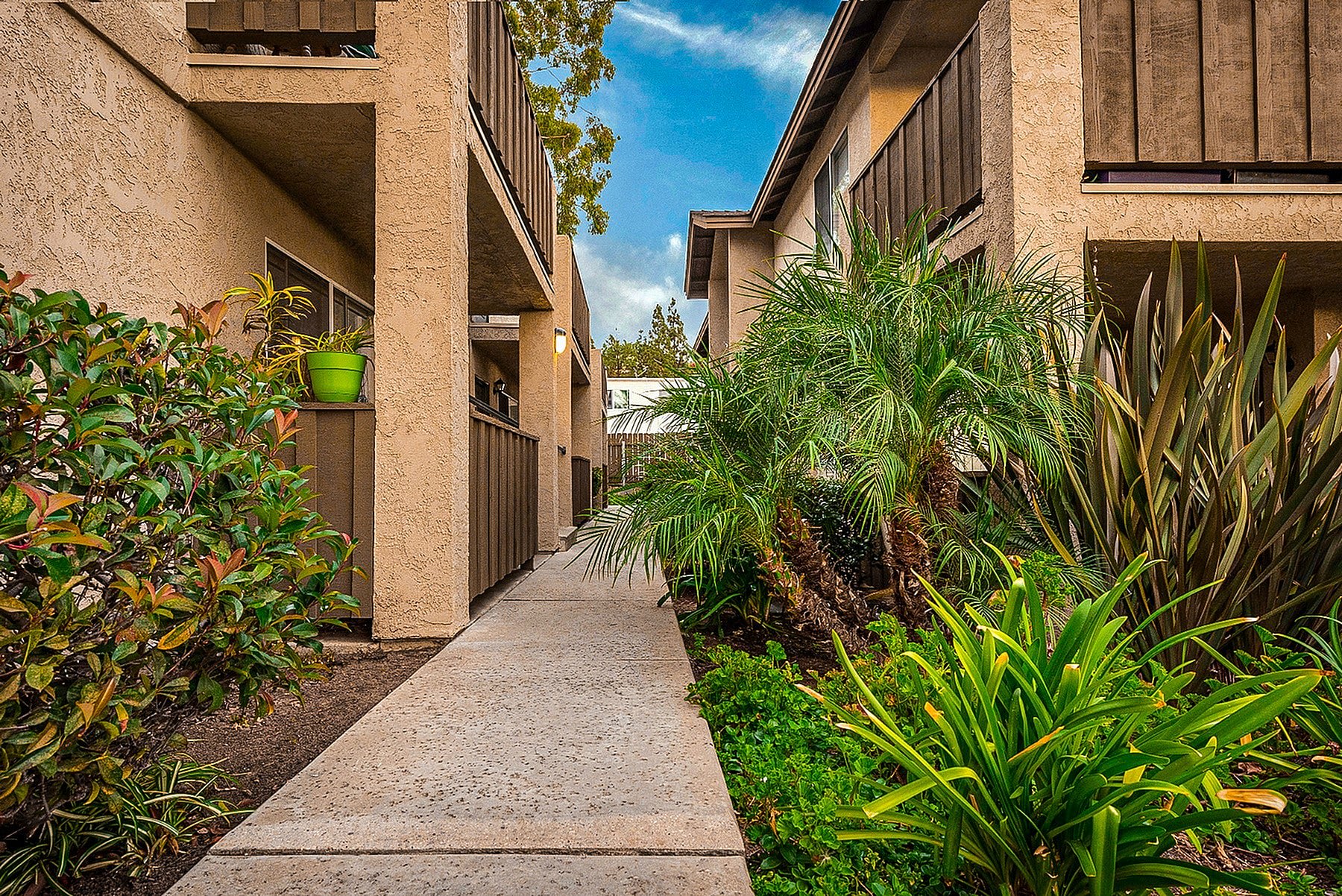 Elan Poway Hills – photo 3