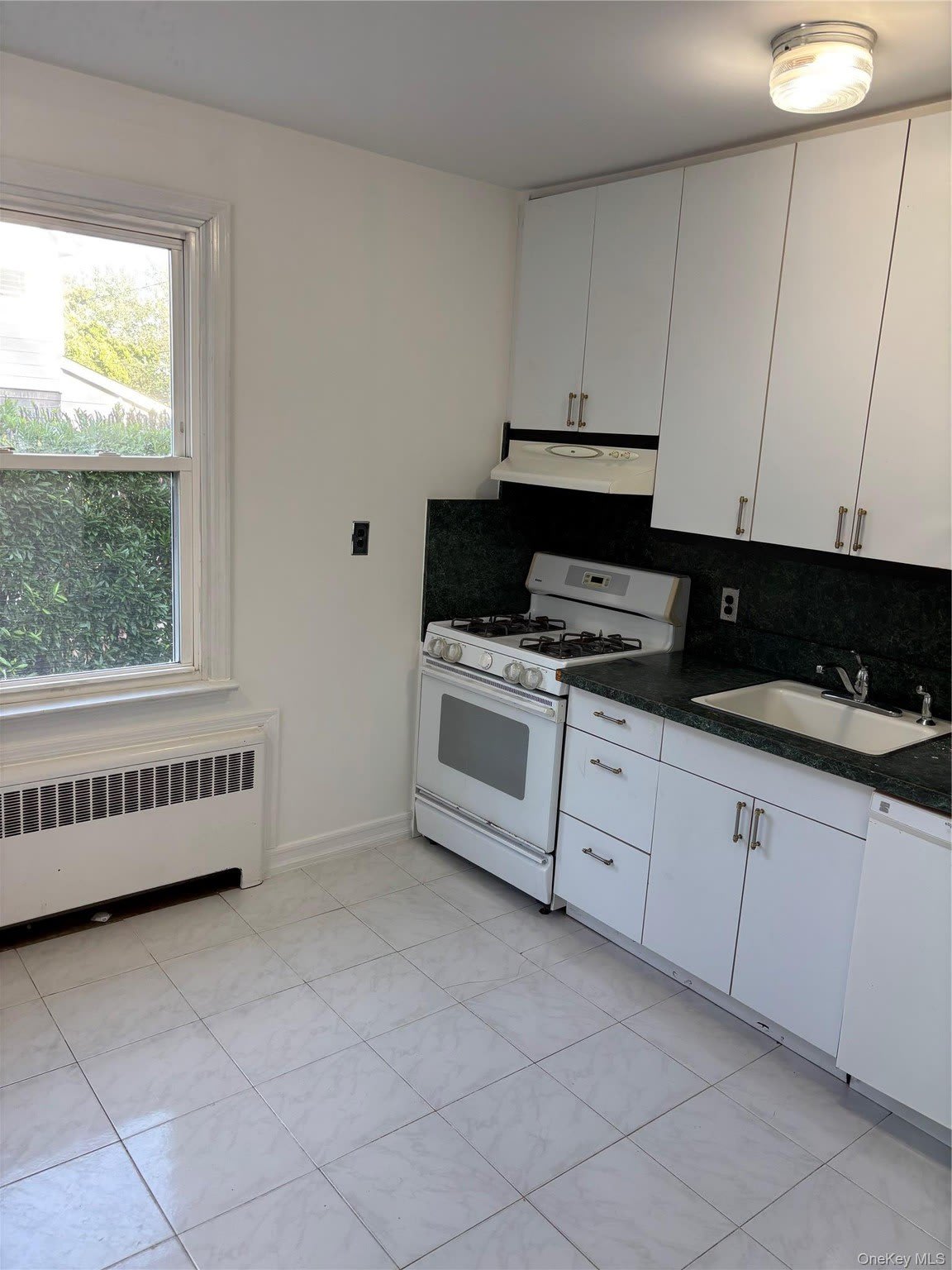 261 Schenck Avenue – photo 3