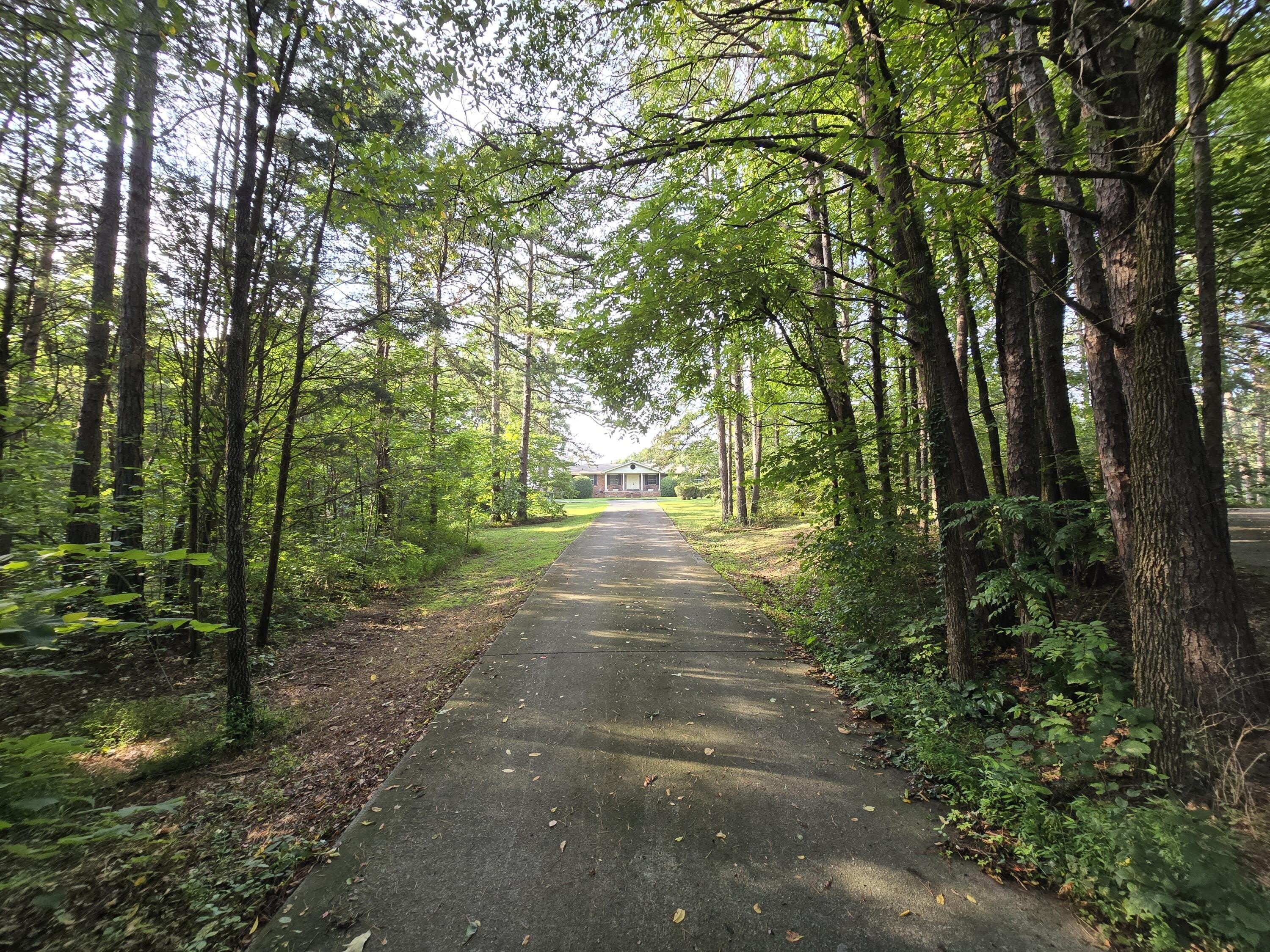 6213 Strawberry Plains Pike – photo 1