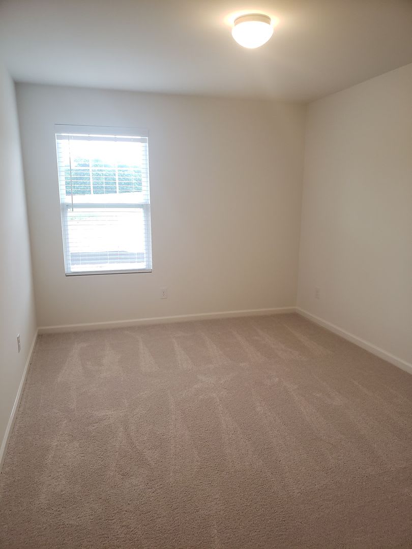 Gorgeous 4 Bed, 2.5 Bath with 2 Car Garage – photo 5