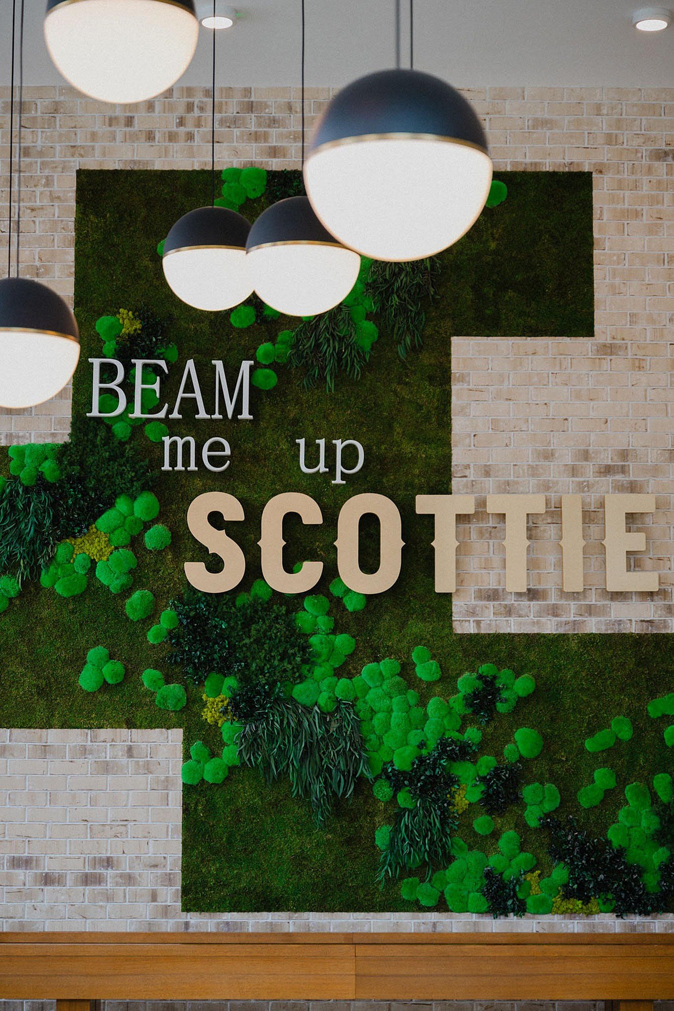 The Scottie – photo 2