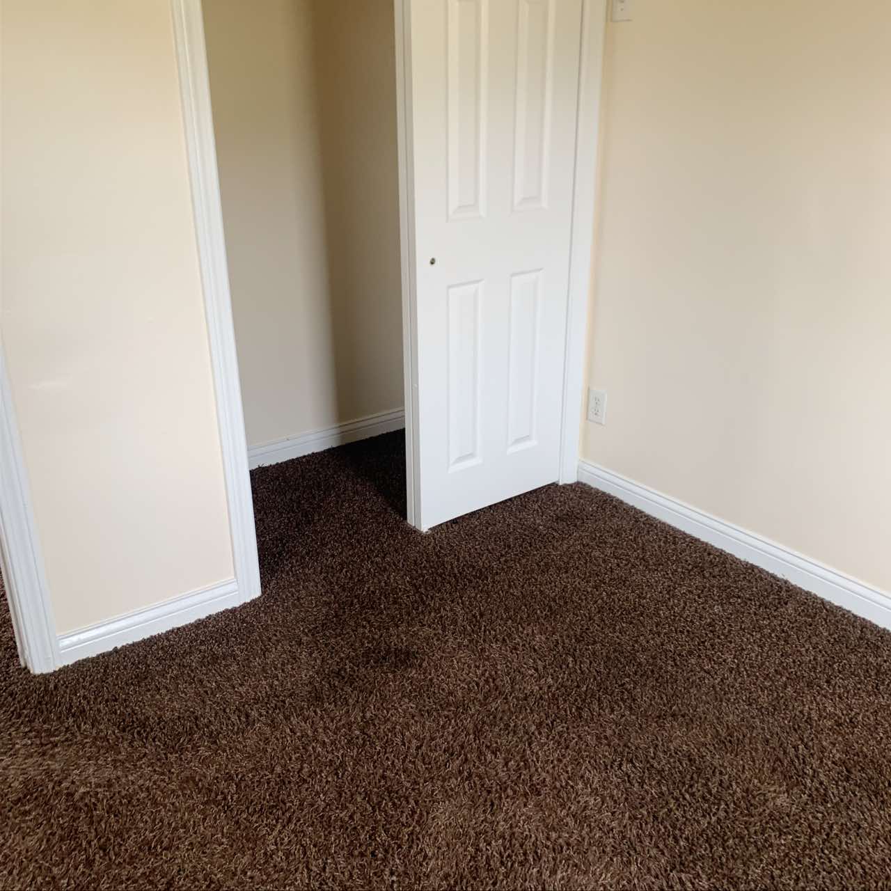 219 Lansdown Avenue – photo 3
