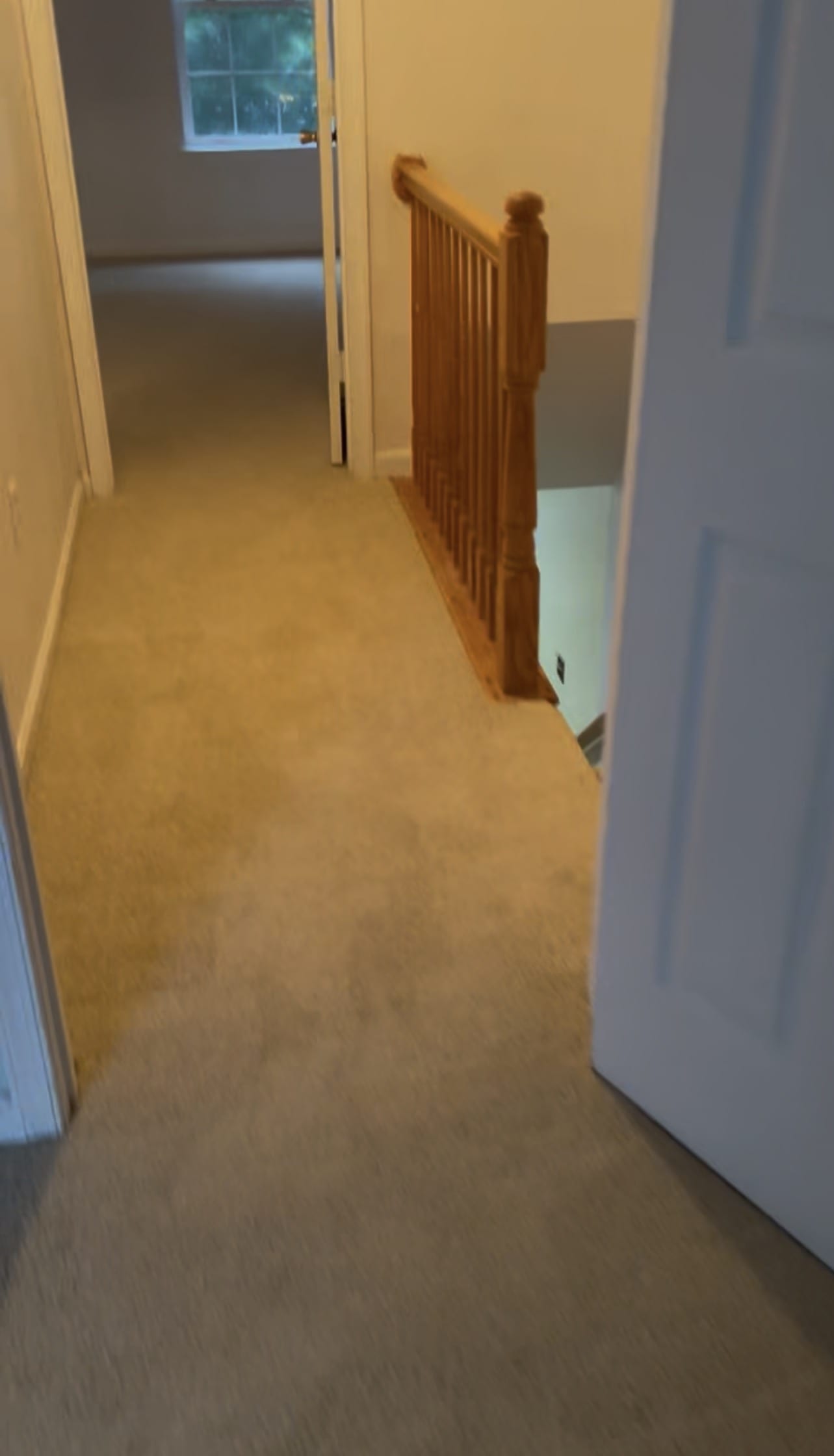 8545 Towne Manor Court – photo 2