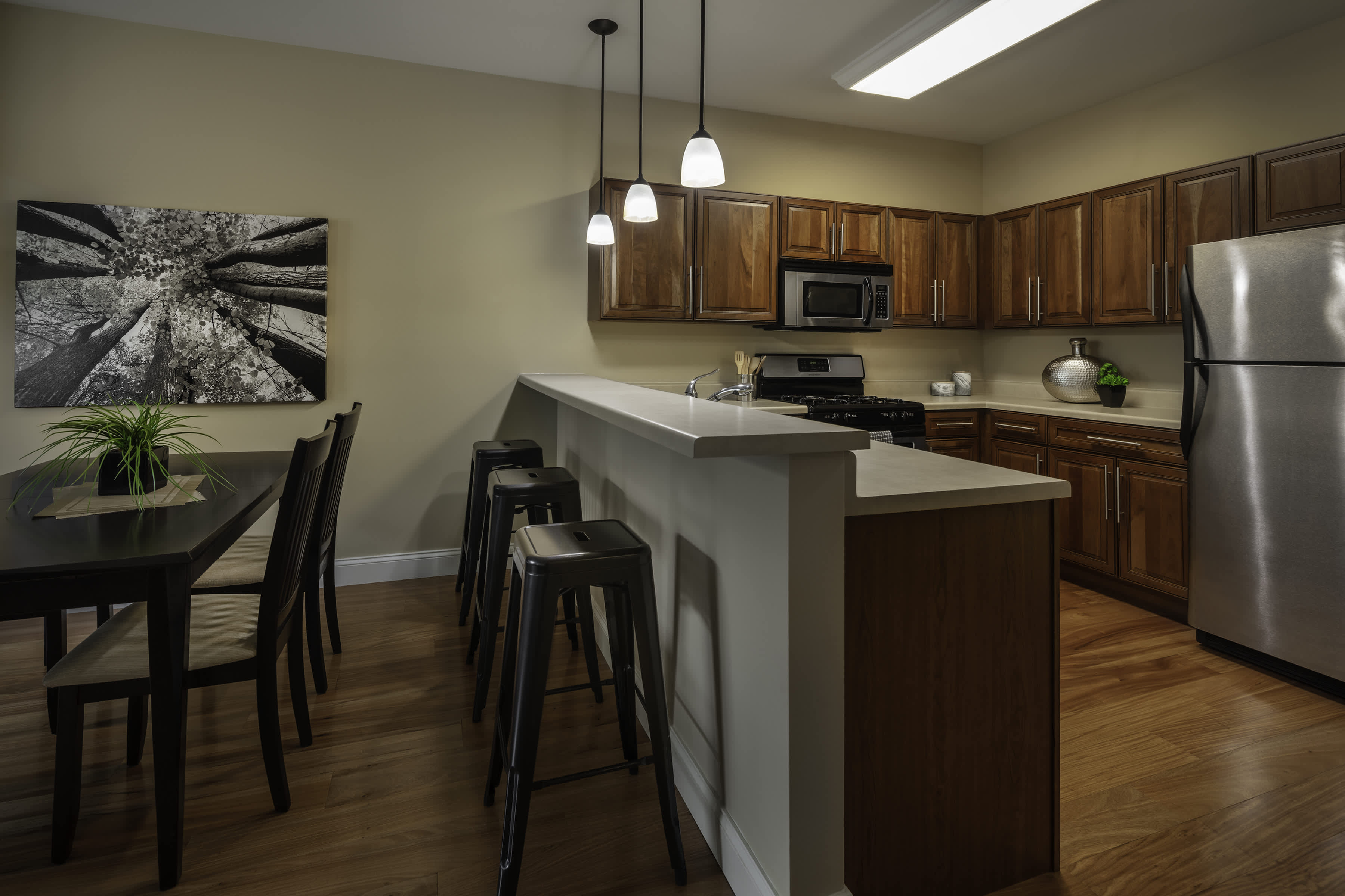 Brownstone on Old Sauk – photo 4
