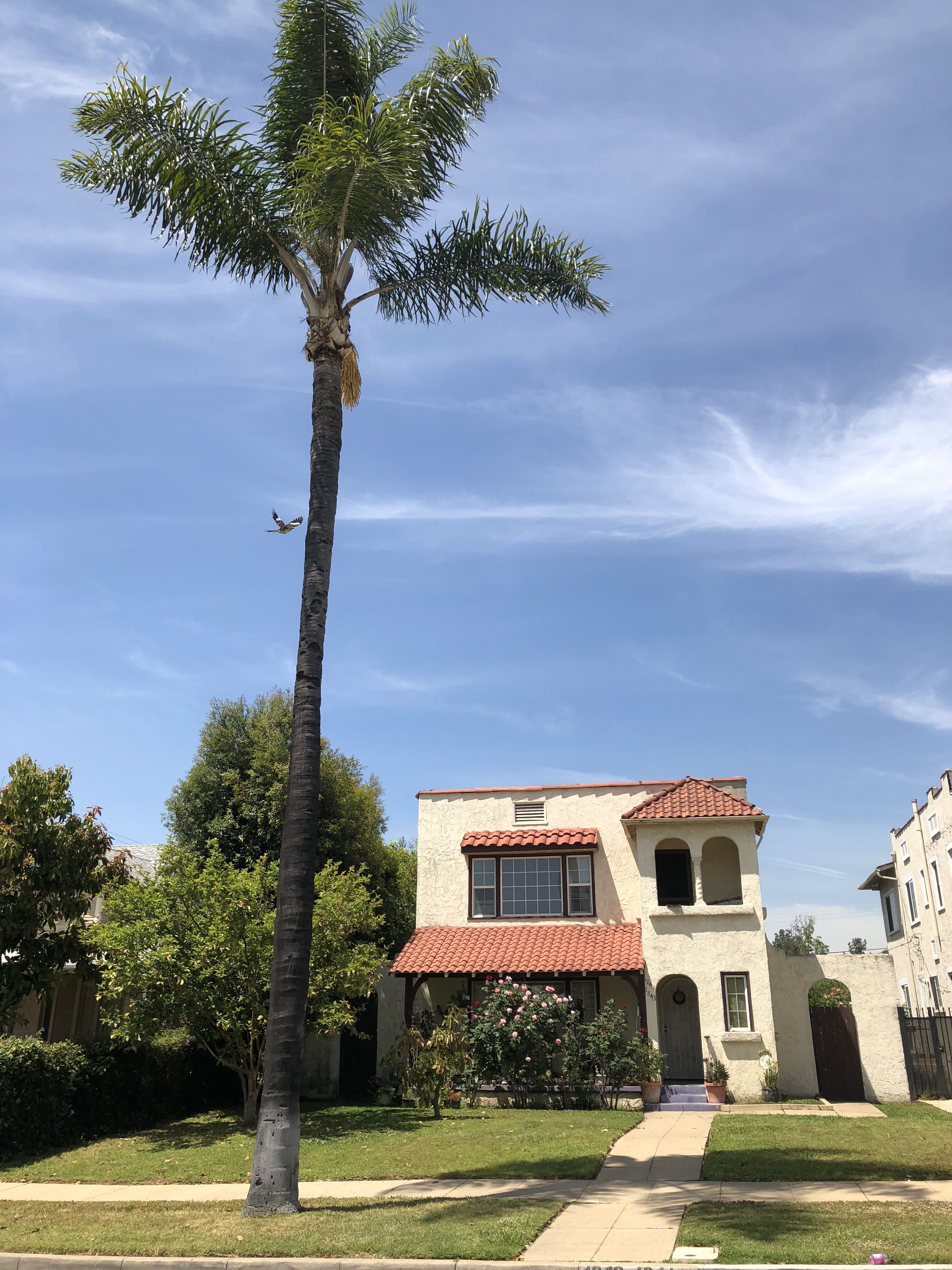 1841 S 8th St – photo 1