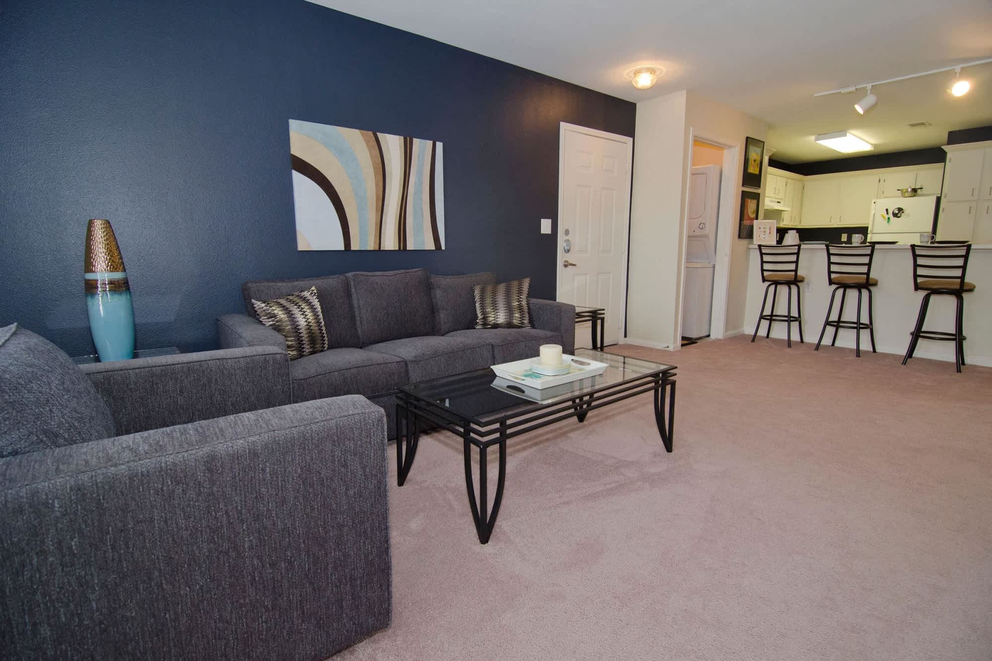 College Towne Apartments – photo 3