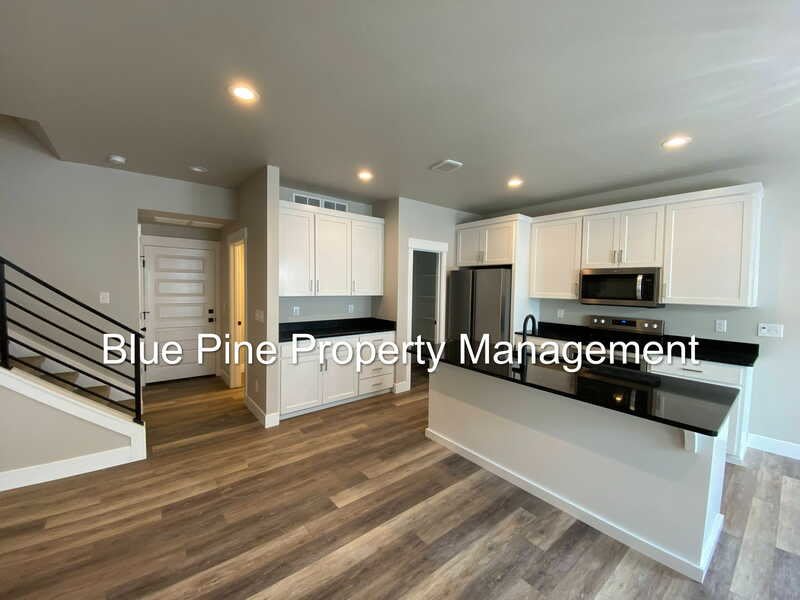 2890 Sunburst Drive – photo 5