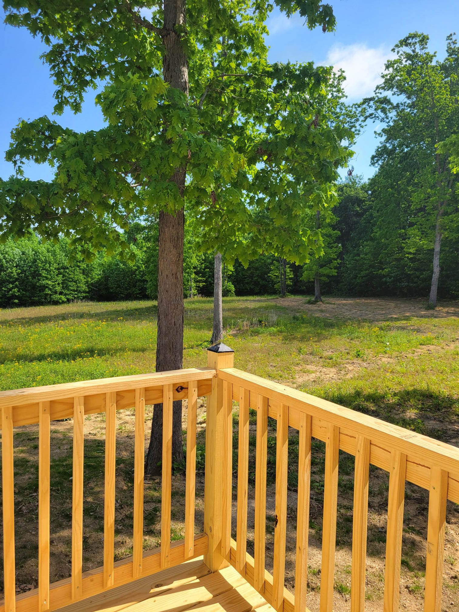 115 Everett Lane – photo 5