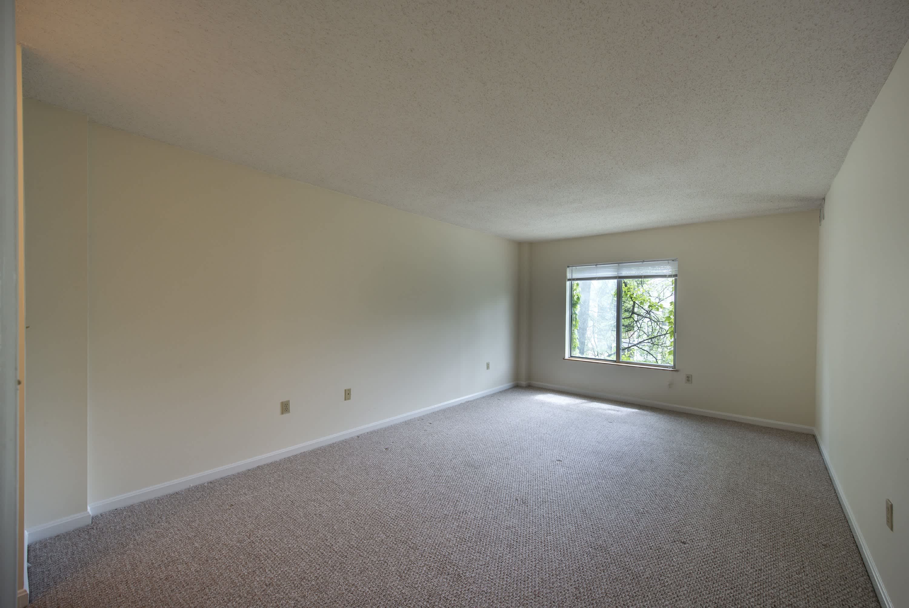 The Davenport – photo 3