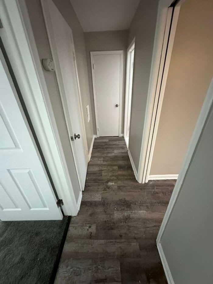26291 Pinehurst Street – photo 4