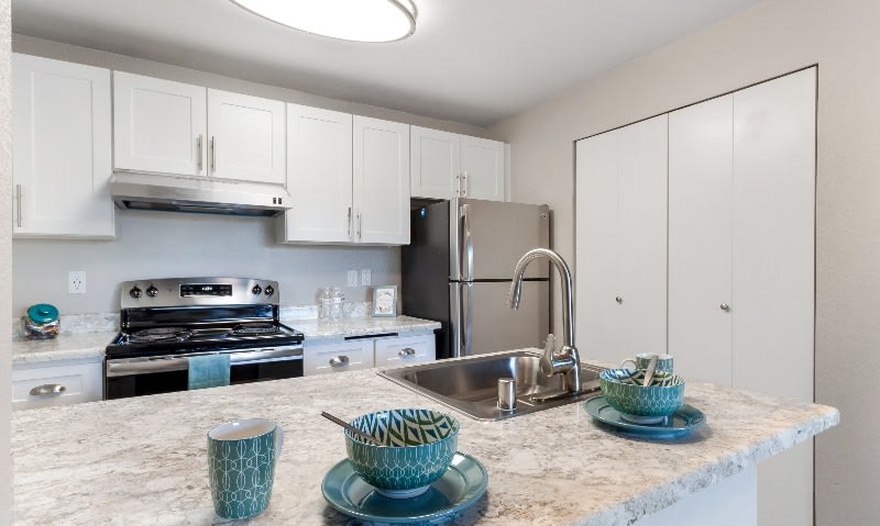 Avana Chestnut Hill – photo 2