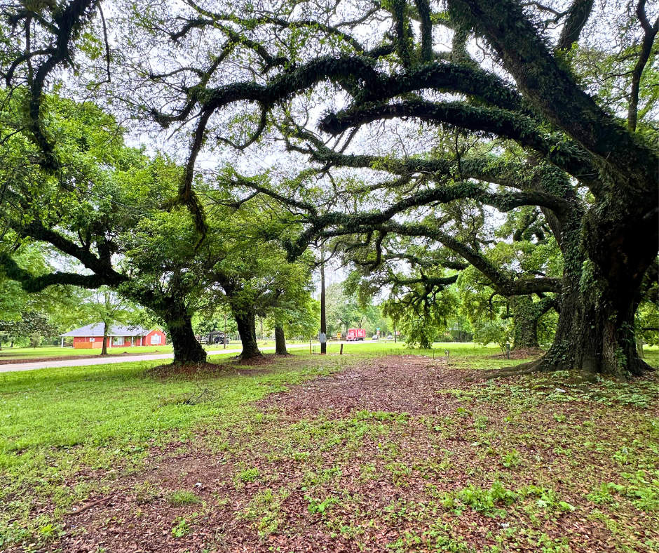 11780 Old Pascagoula Rd – photo 1
