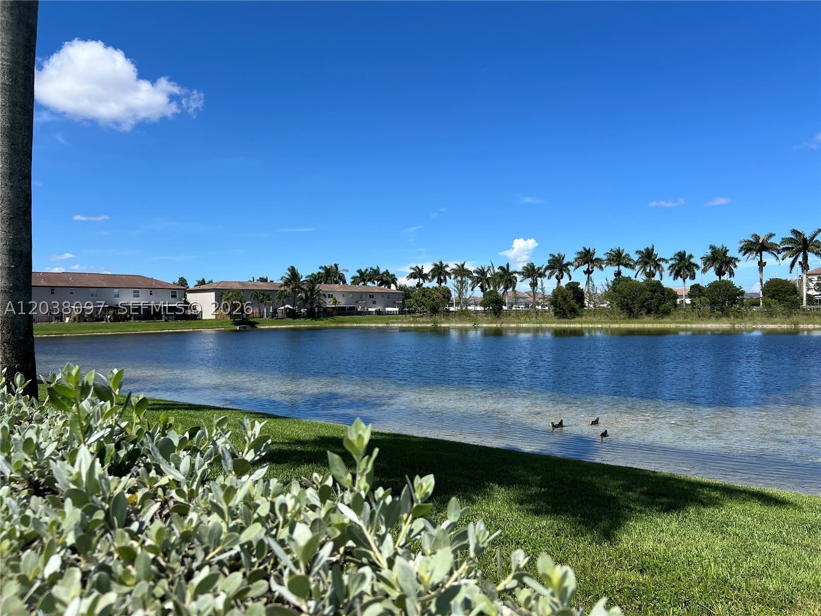 2555 Sw 147Th Path – photo 3