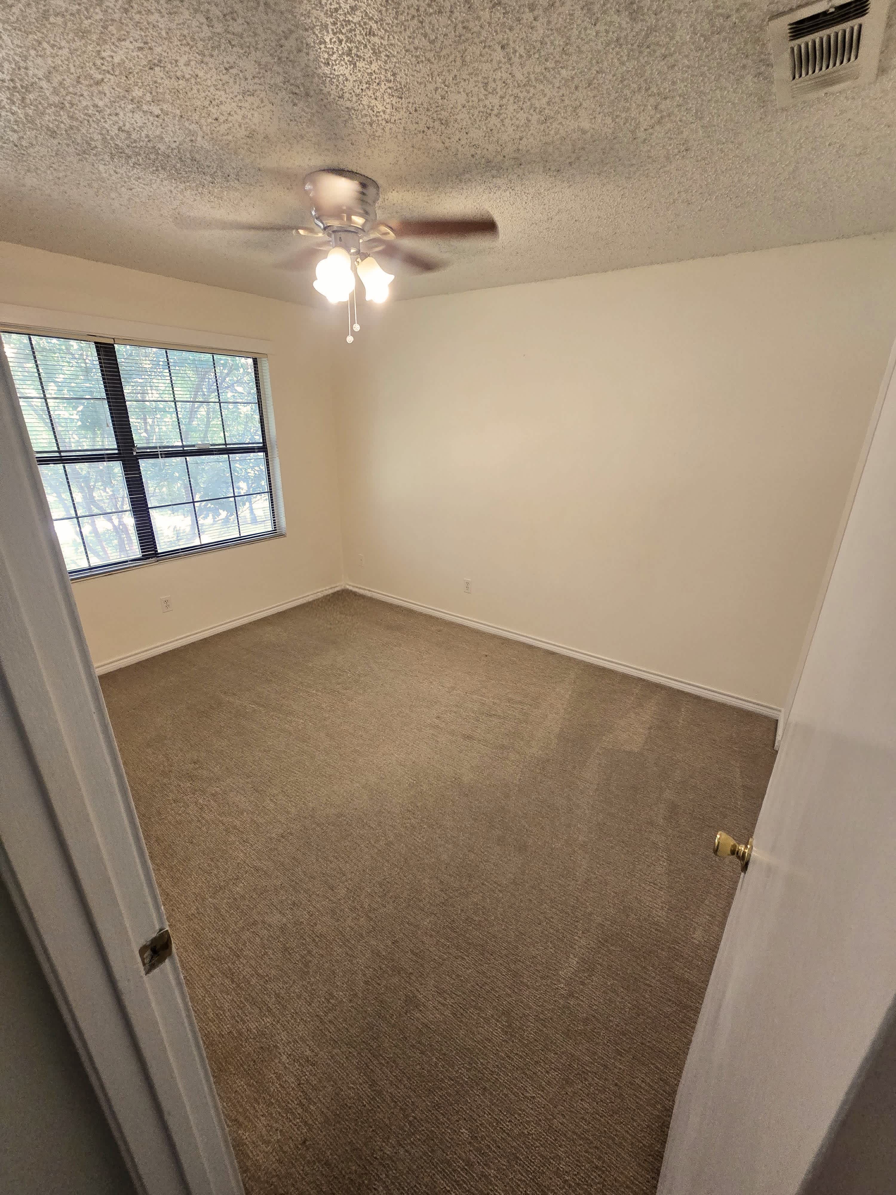 102 Lady Bird Lane – photo 5