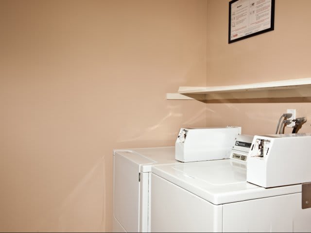 Elan Pacific Palms – photo 4