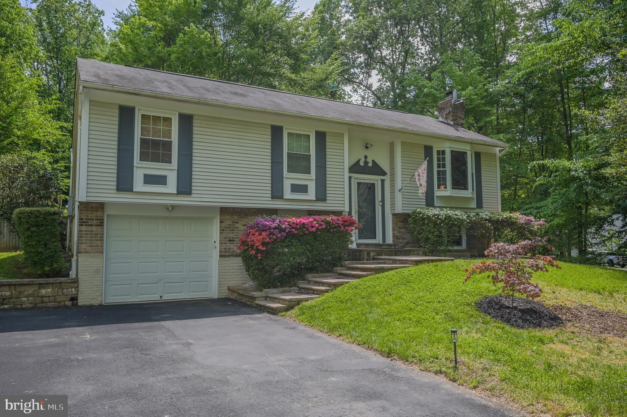 12510 BASSWOOD Drive – photo 2