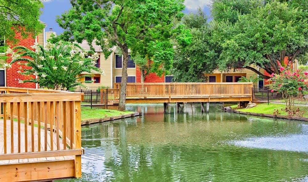 Del Lago Apartments – photo 3