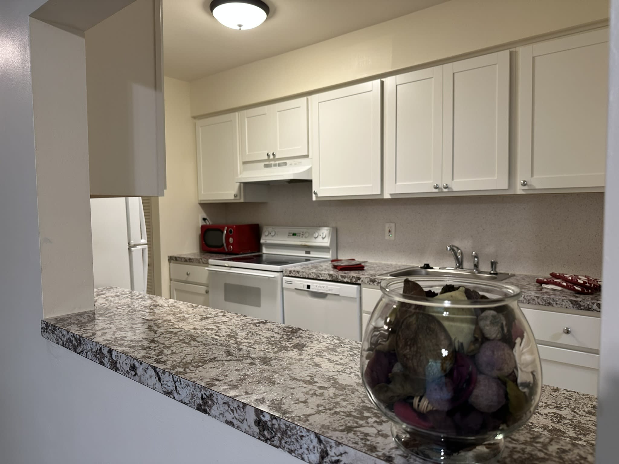 703 Camelback Court – photo 4
