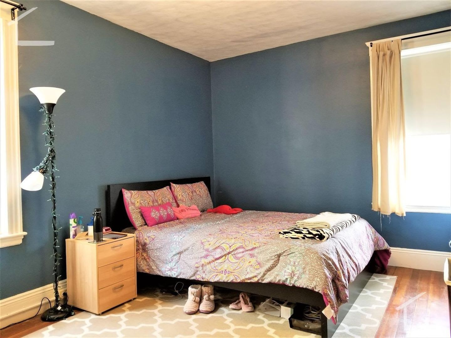 Unique Brookline Apartment. For you 9/1/26 – photo 3
