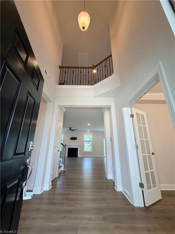 4270 Pelican Street – photo 5