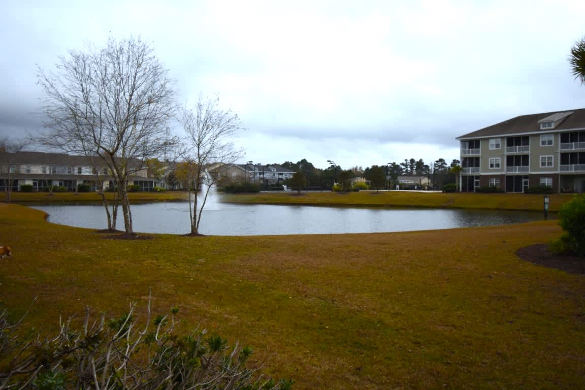 306 Kiskadee Loop – photo 4
