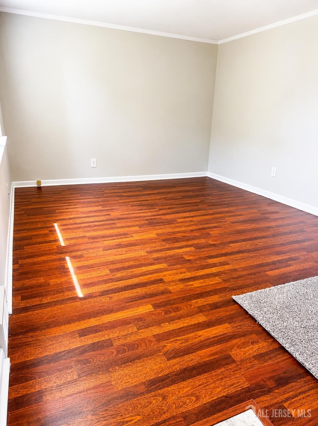 163 Rose Street – photo 4