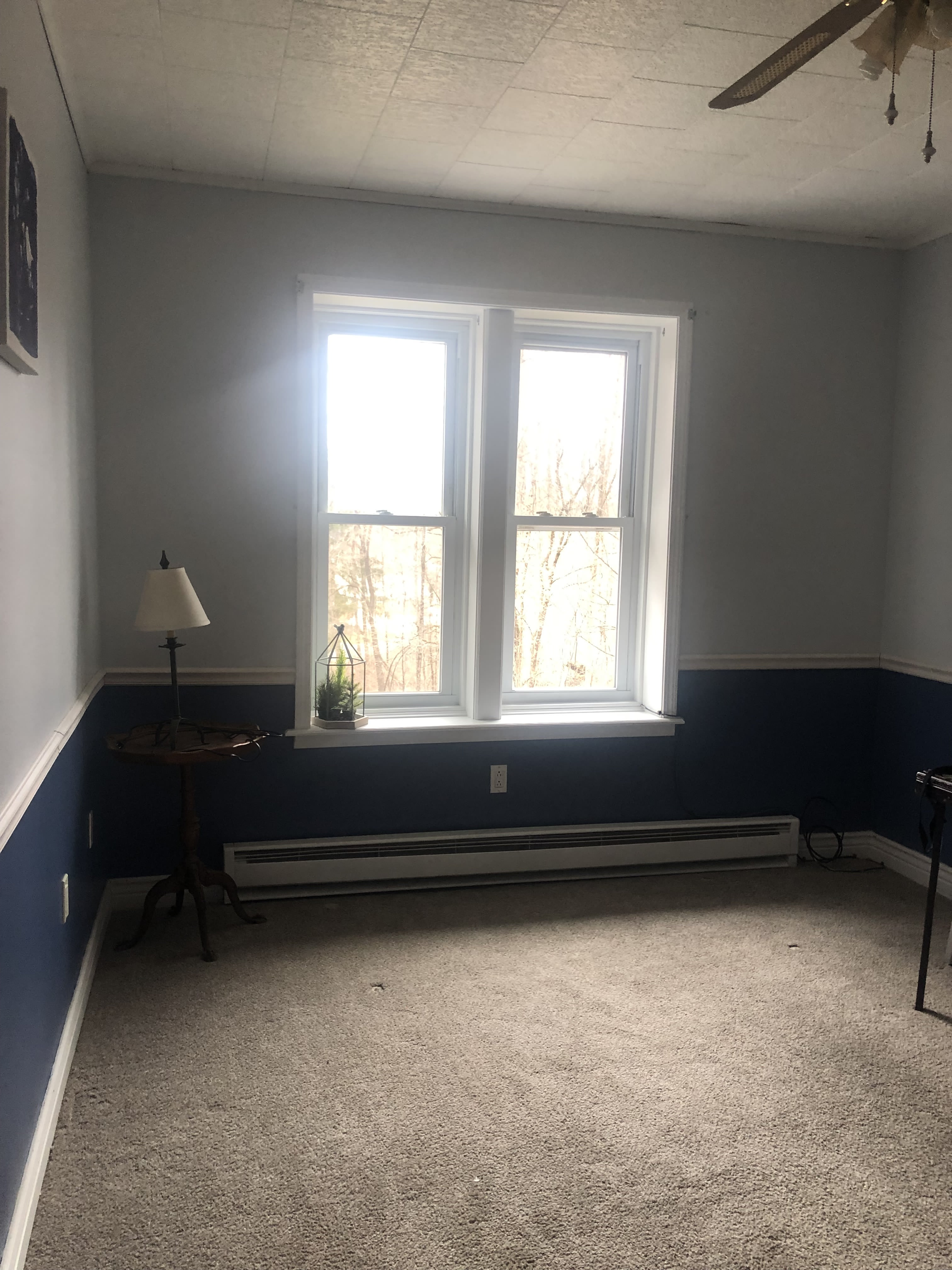 12 Poplar Street – photo 2