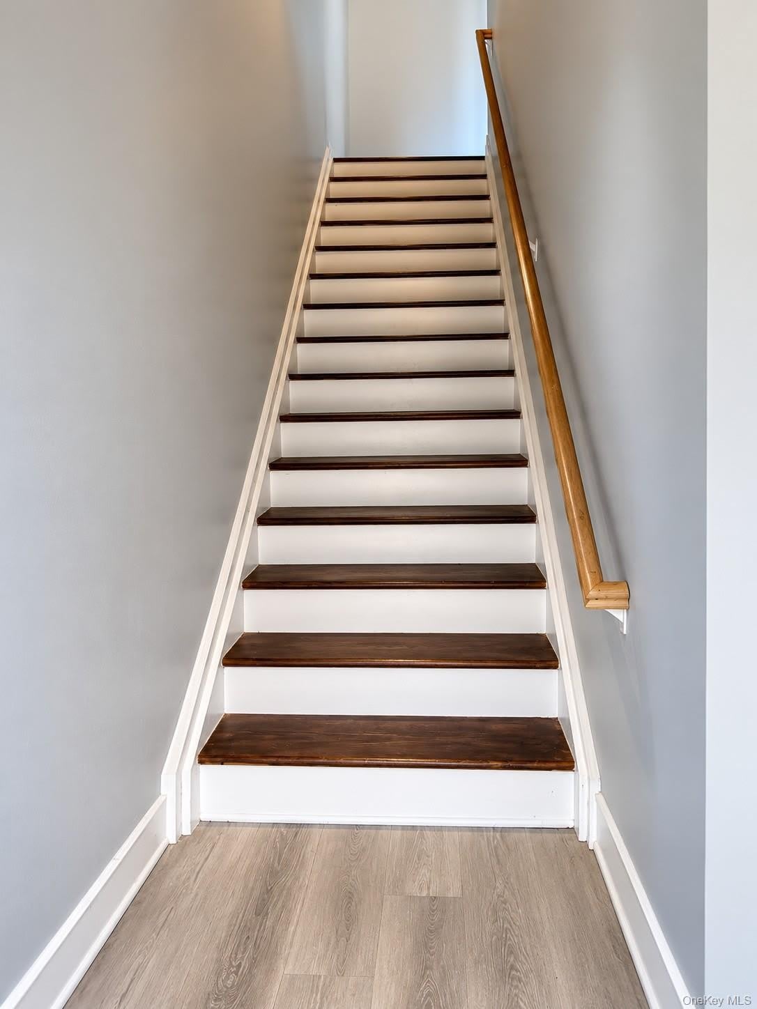 11 Orange Lane – photo 2