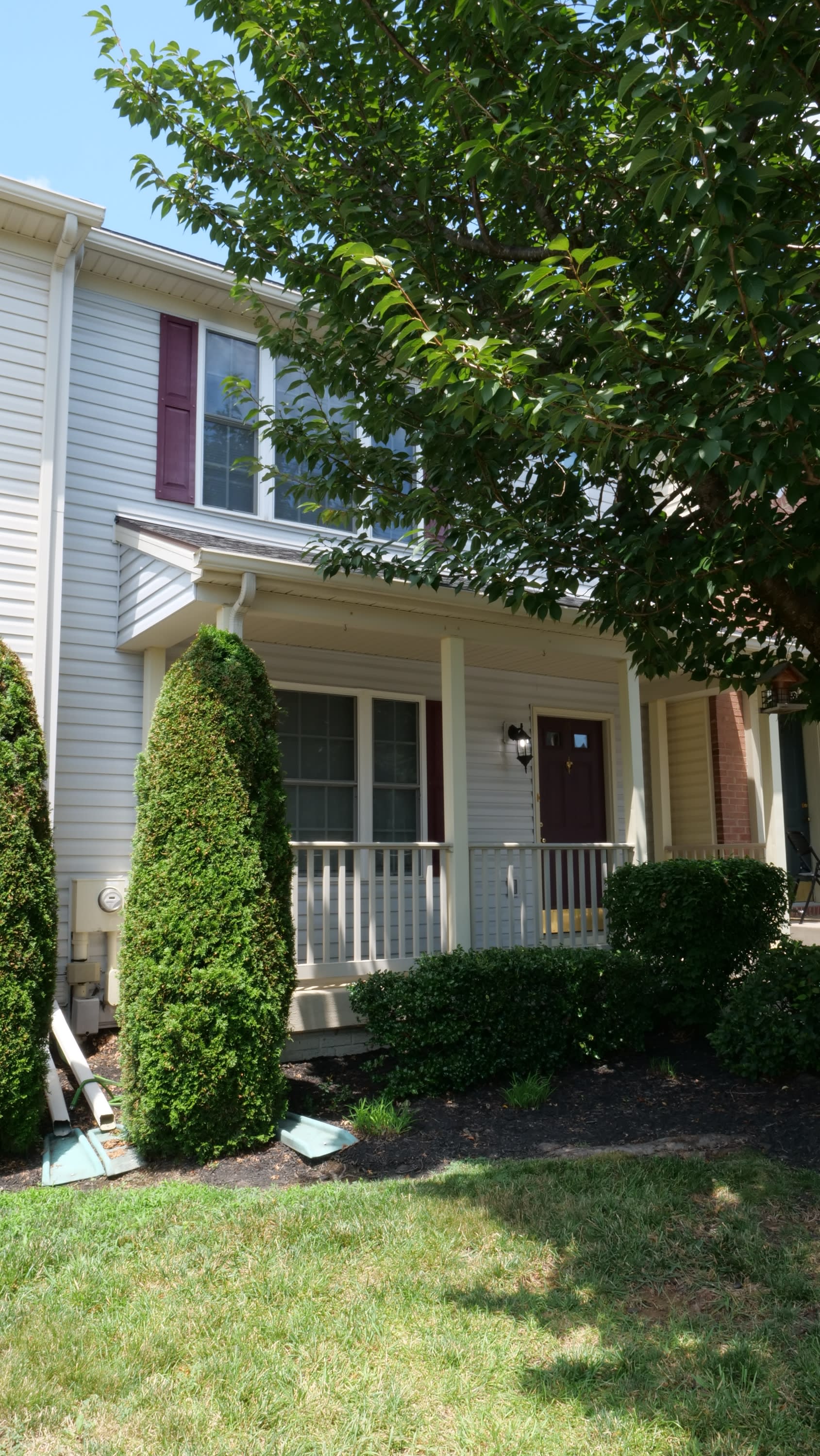 55 Mabel Lane – photo 2