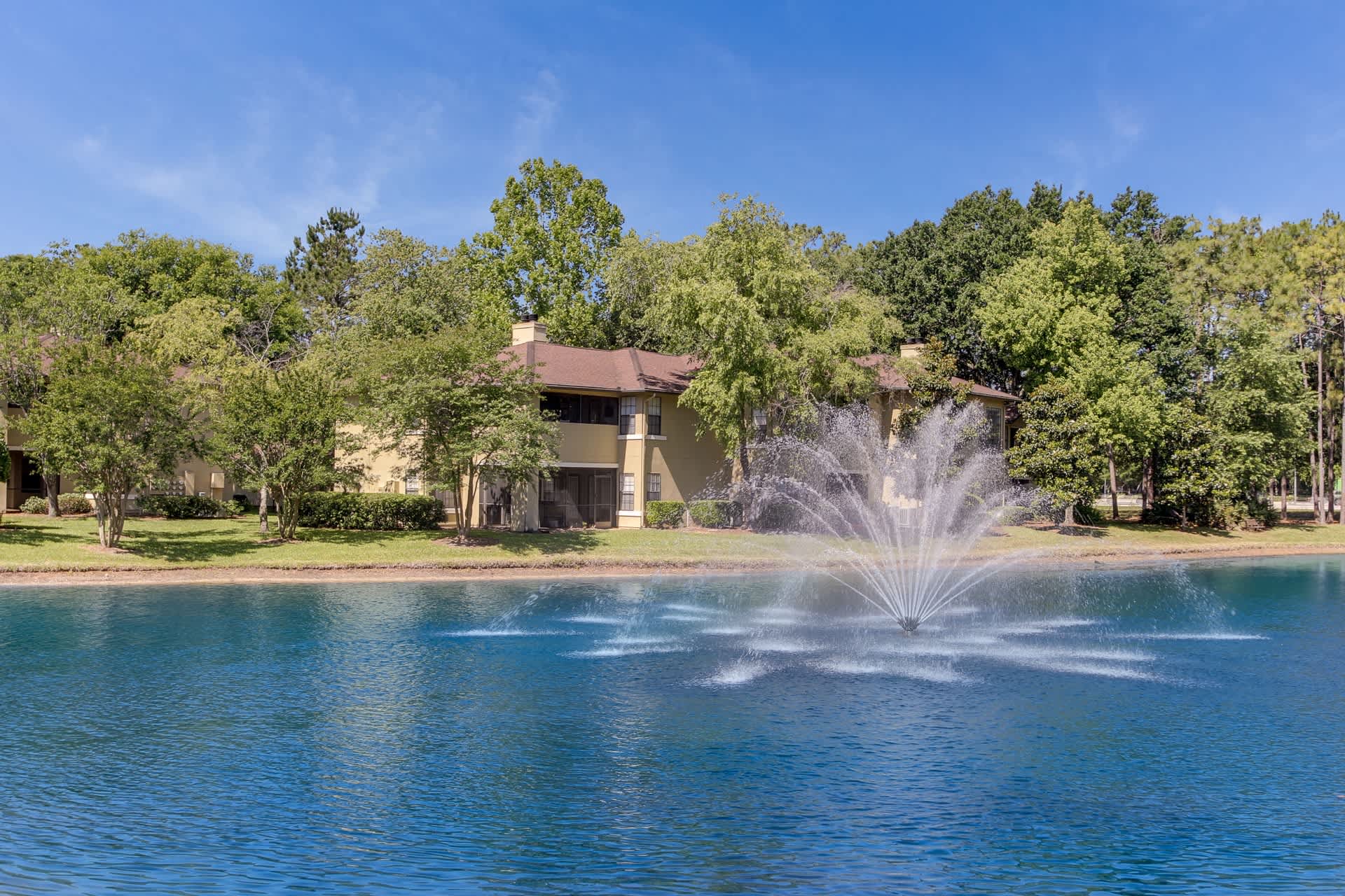Elements of Belle Rive – photo 1