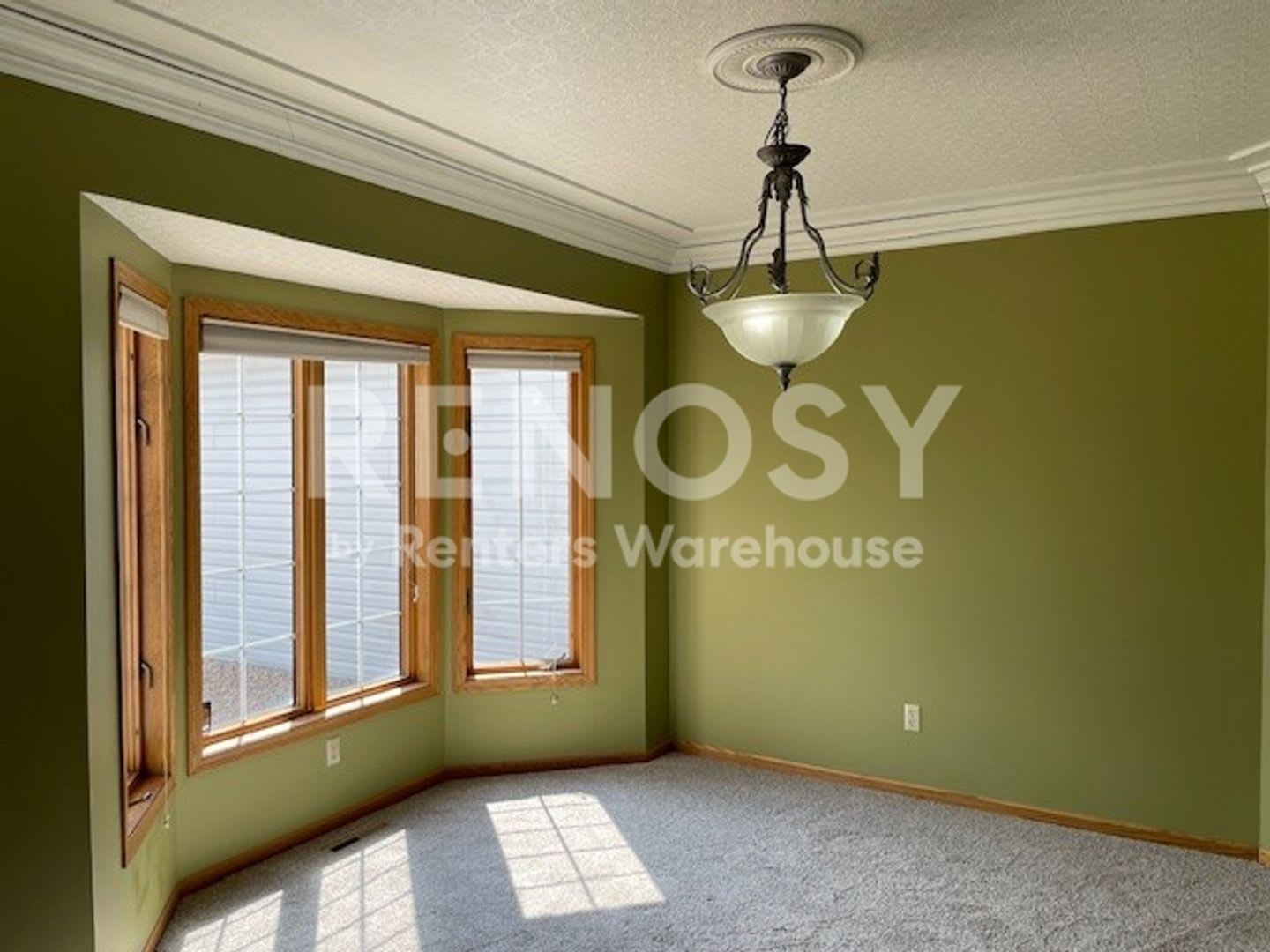 4800 Sq. Ft. 5 Bedroom 4.5 Bath Home in Woodbury – photo 4