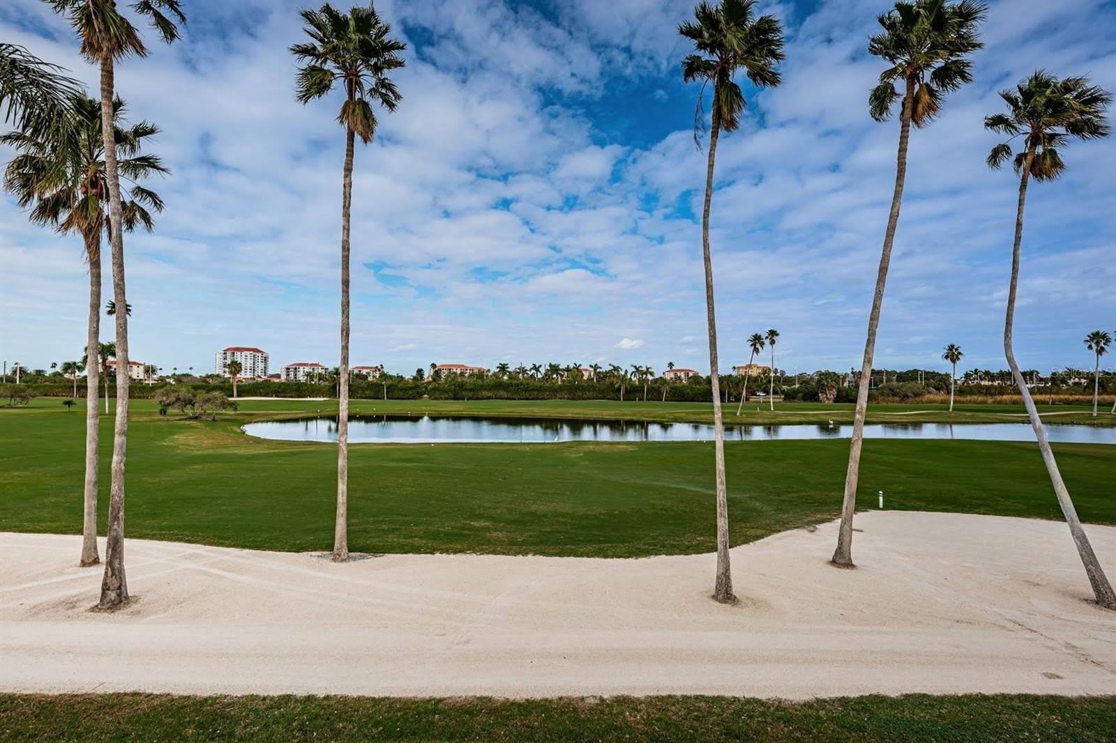 6141 BAHIA DEL MAR Boulevard – photo 3