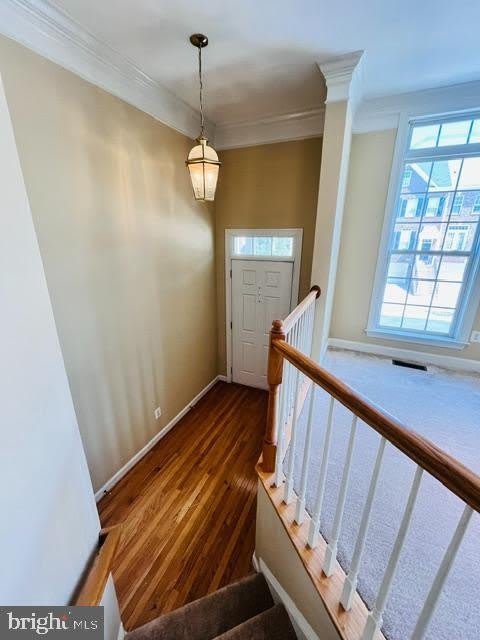 1117 Keokuk Terrace Ne – photo 2