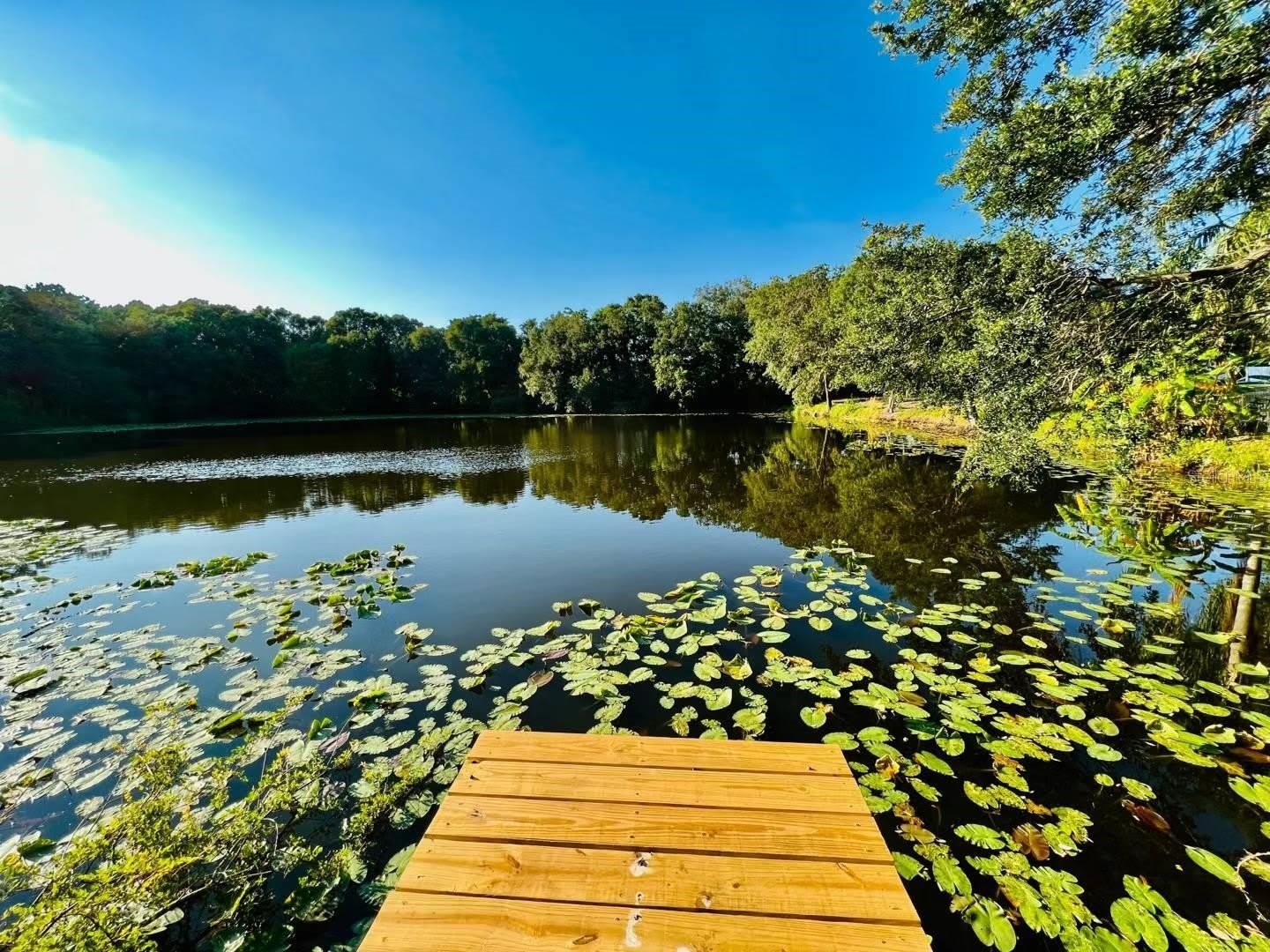 1610 PALM LEAF Drive – photo 2