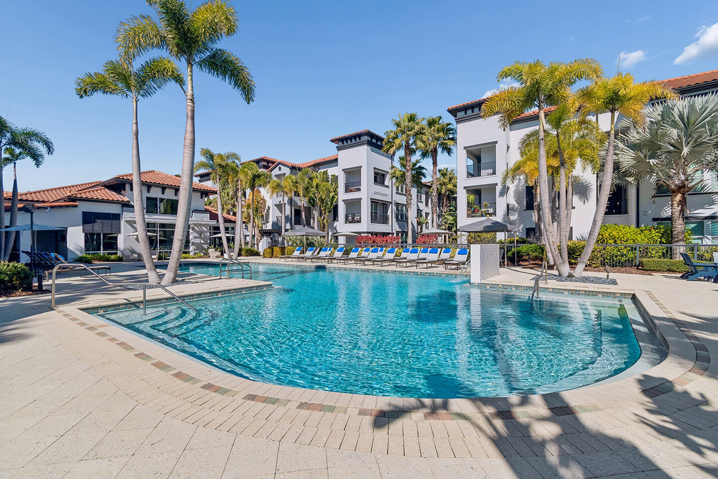 Amelia at Westshore – photo 1