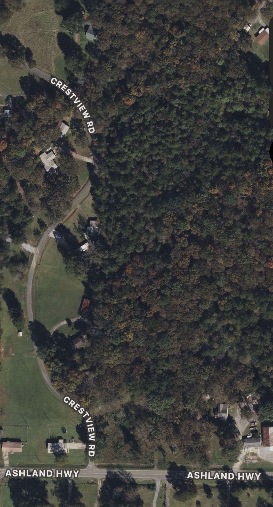 219 Crestview Road – photo 2