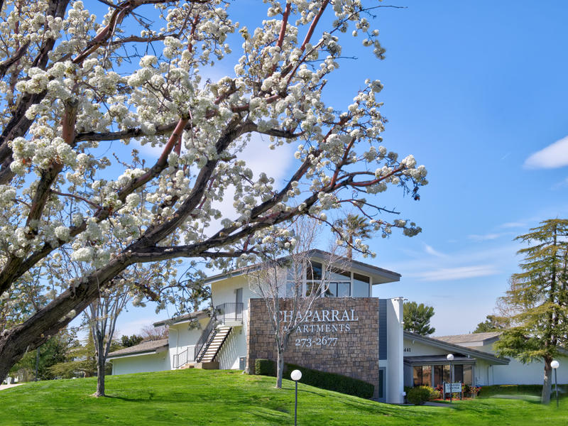 Chaparral Apartments – photo 2