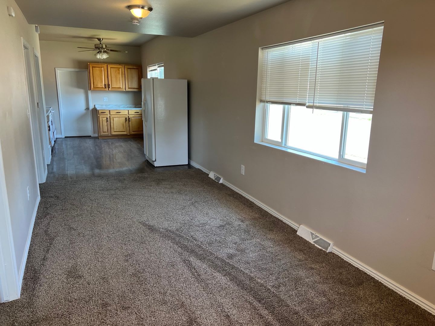 Sc303 – photo 2