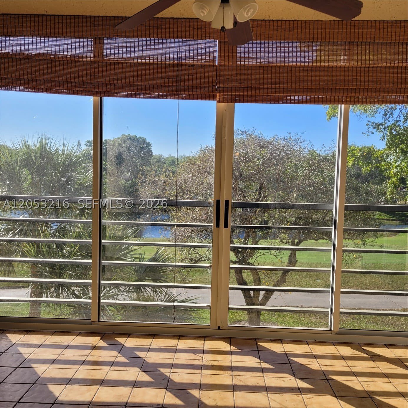 1811 Sabal Palm Dr – photo 4