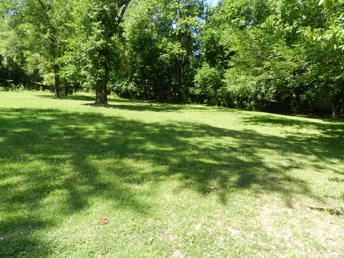 204 Dyer Drive – photo 3