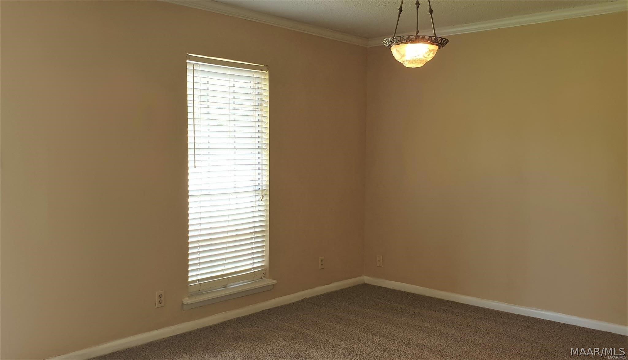 6354 WARES FERRY Road – photo 5