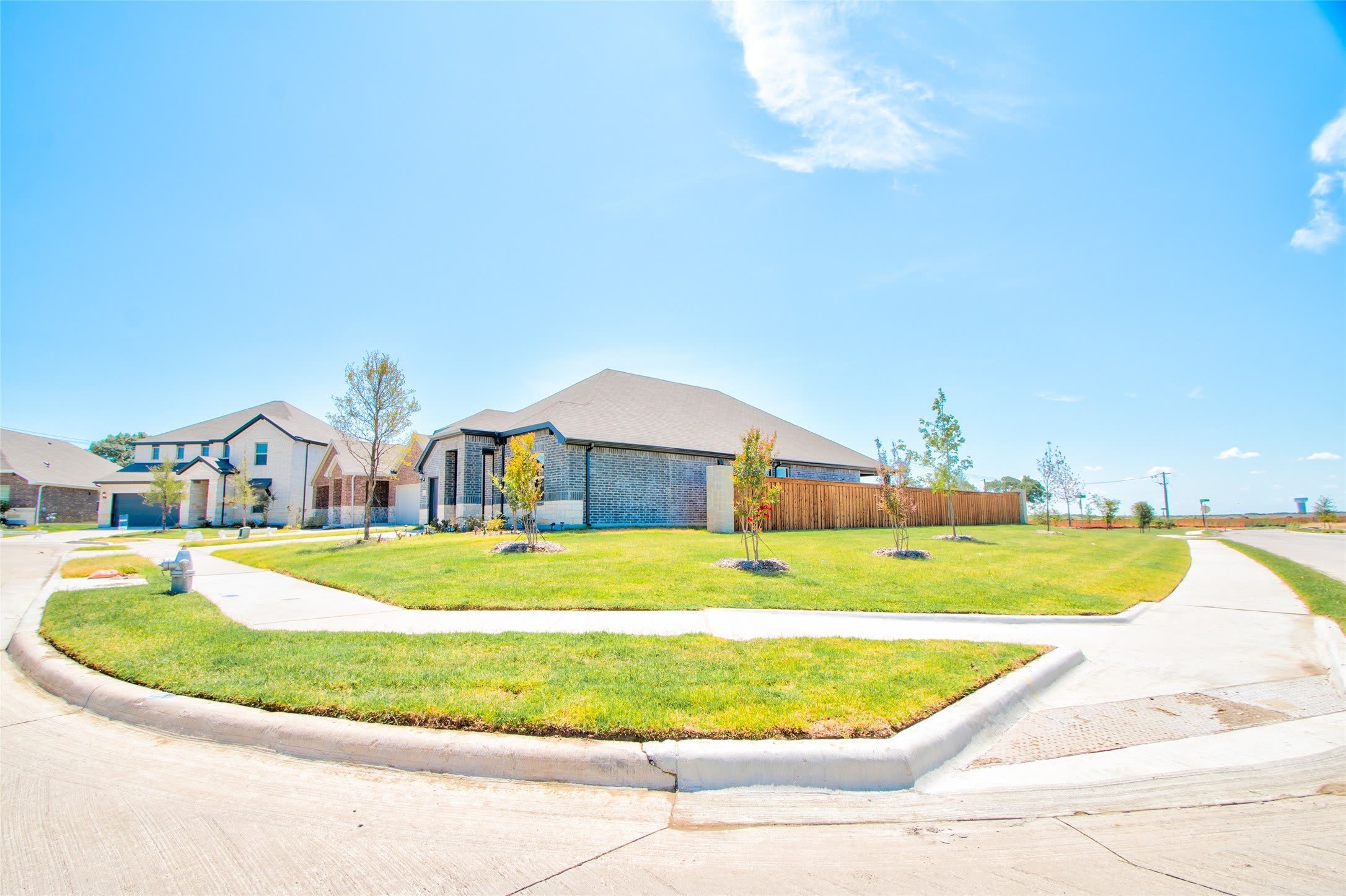 727 Williams Way – photo 5