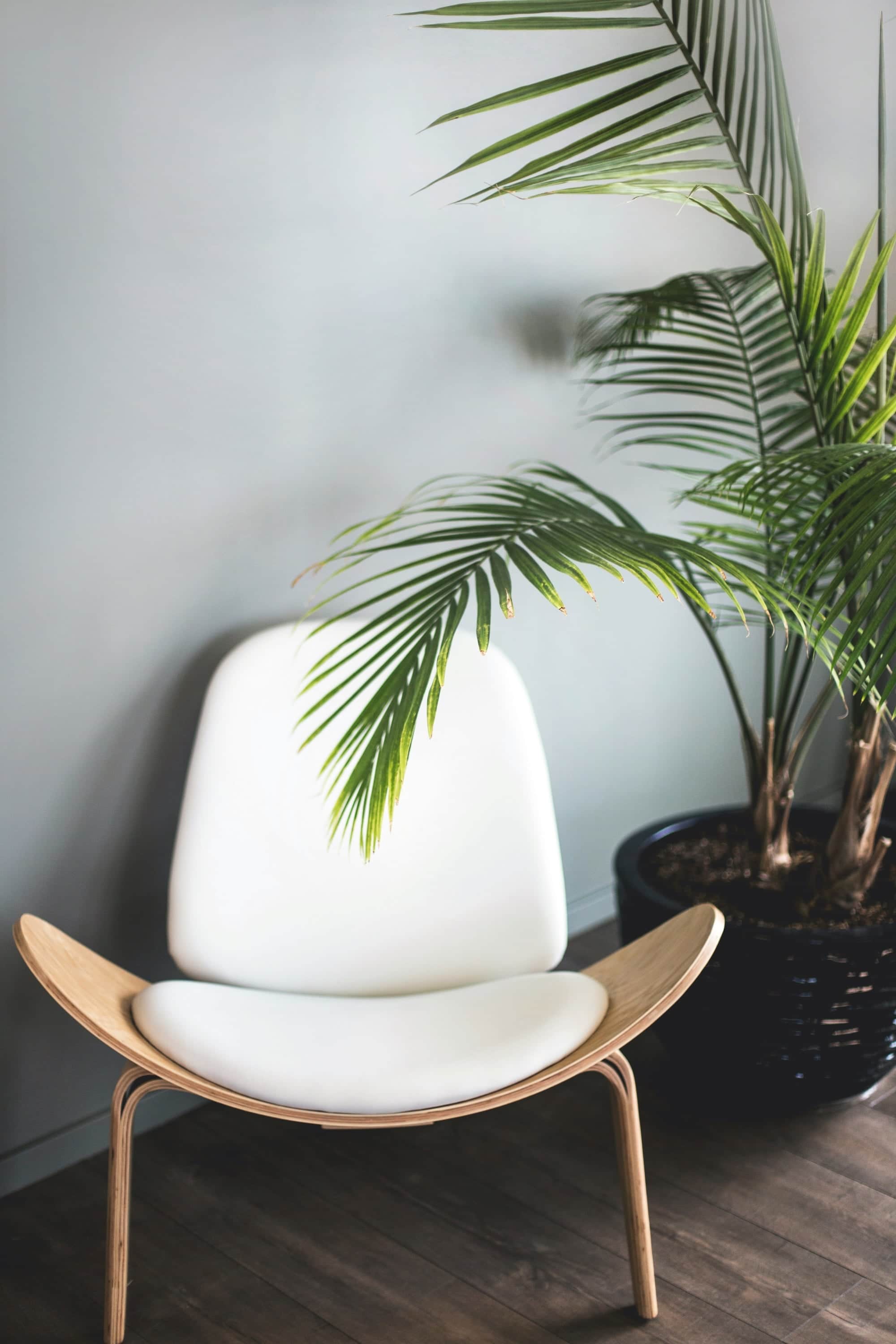 Nova Apartments – photo 1