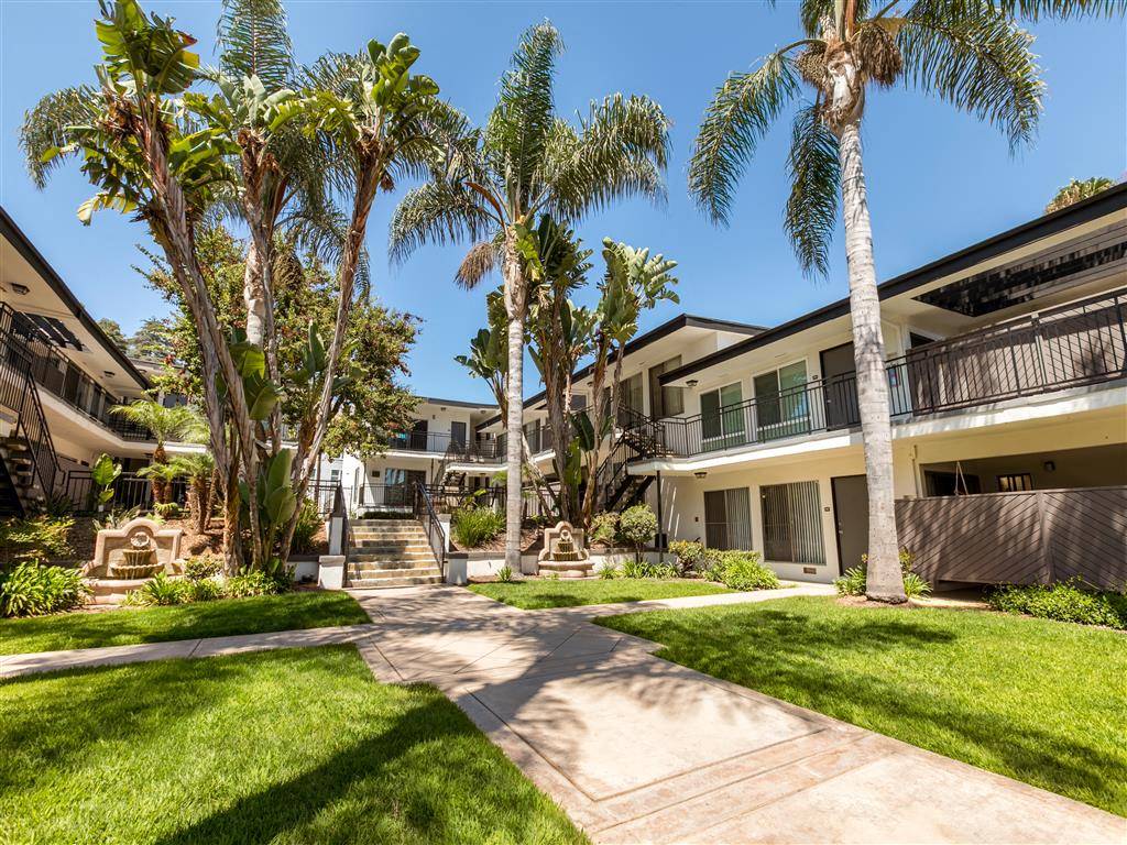 Pacific Rose – photo 4