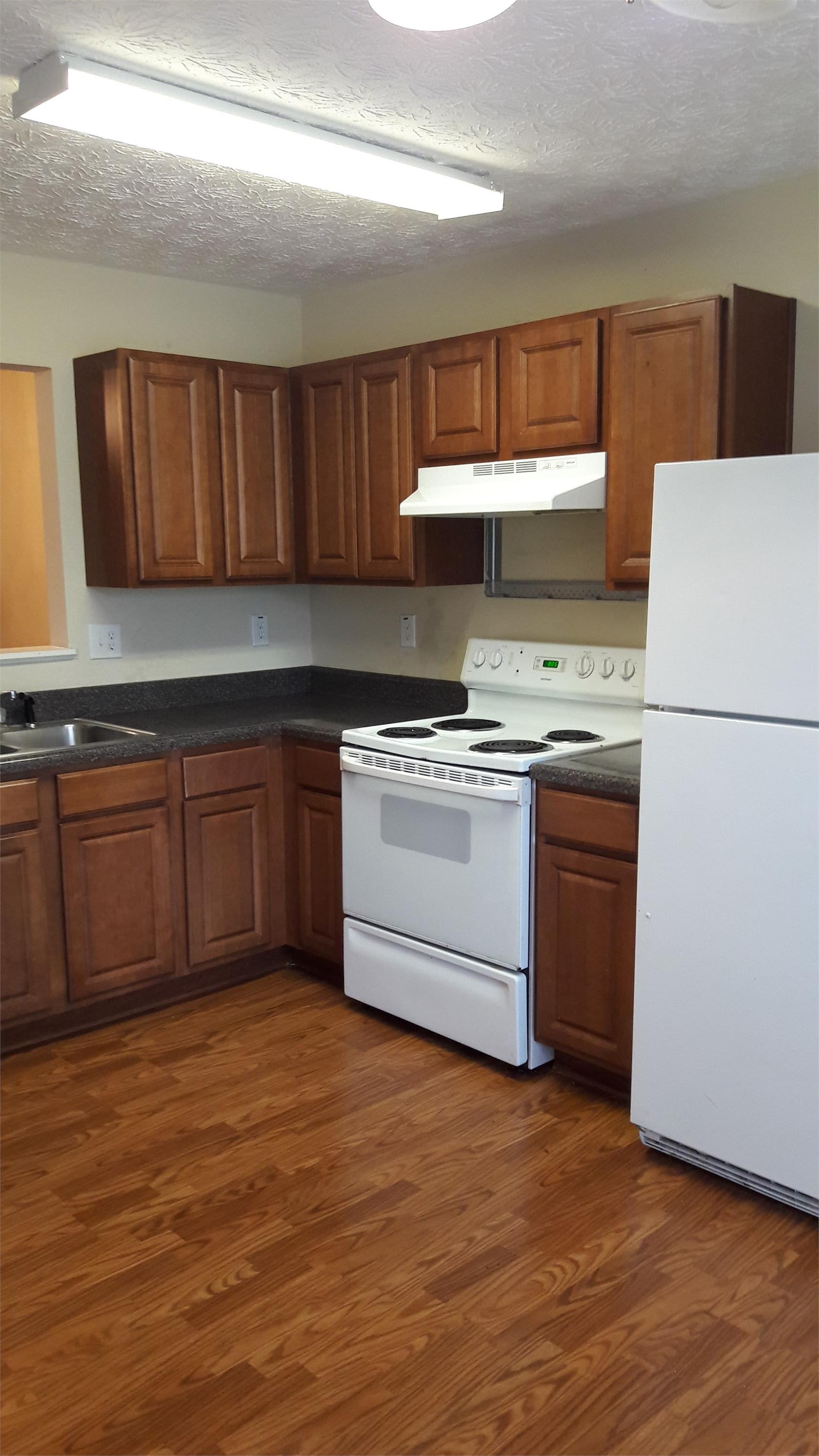 2437 Piering Dr – photo 4