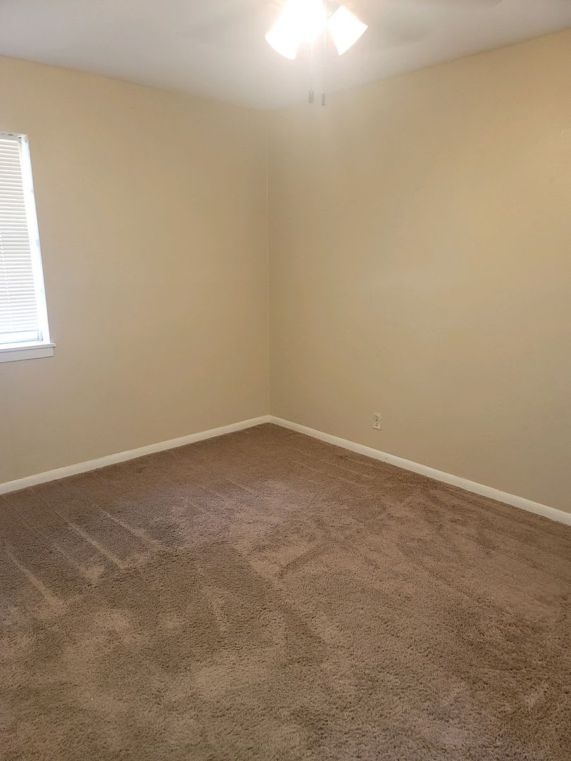 4 Bedroom 2 Bath in The Avenues – photo 5